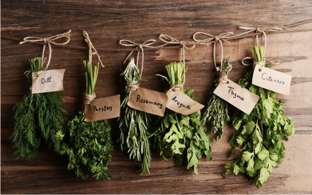 how to keep herbs fresh